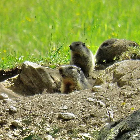 Lägenhet Coin Au Paradis *